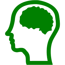 Brain Health Supplements
